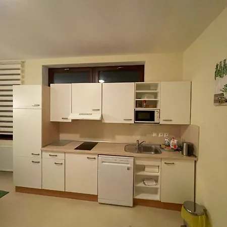 Apartman Brooklyn スカリツァ