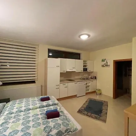アパート Apartman Brooklyn スカリツァ